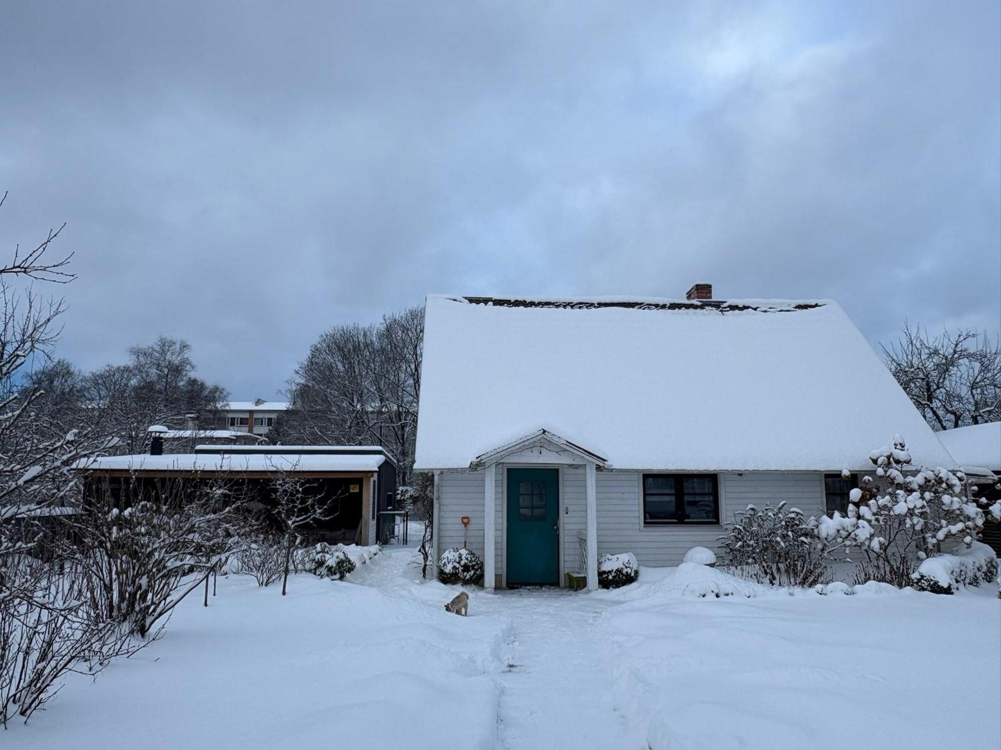 House In The